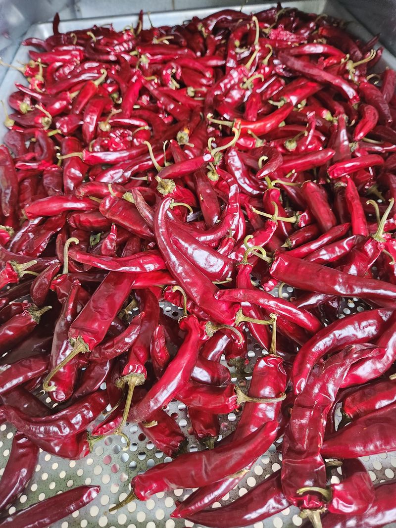 장터 상품 [햇고추,고추가루가격내림] 썸네일