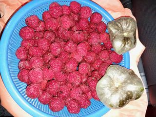 금동이네님의 기타작물 · 자유게시판 작성글 사진