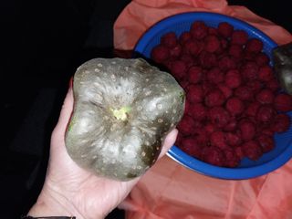 금동이네님의 기타작물 · 자유게시판 작성글 사진