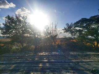 민들레 수연님의 벼 · 영농일지 작성글 사진