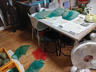 알 수 없음님의 우리동네 · 동네수다 작성글 사진