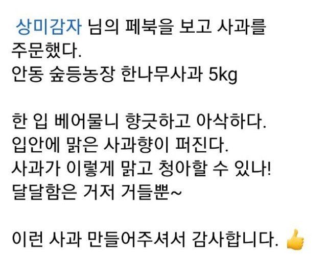 숲등농장 달밭사과님의 장터 판매 상품 [[산지직송/가정용] 안동숲등농장 부사] 첨부 사진