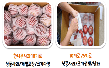 숲등농장 달밭사과님의 장터 판매 상품 [[산지직송/가정용] 안동숲등농장 부사] 첨부 사진