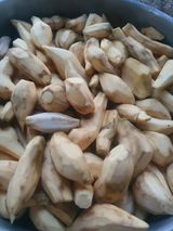 팜모닝 자유주제·자유게시판 게시글 이미지