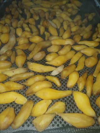 김옥자님의 자유주제 · 자유게시판 작성글 사진