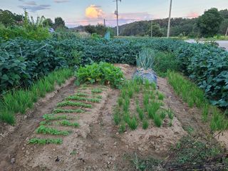 전홍열님의 우리동네 · 동네정보 작성글 사진