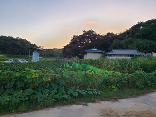 전홍열님의 우리동네 · 동네정보 작성글 사진