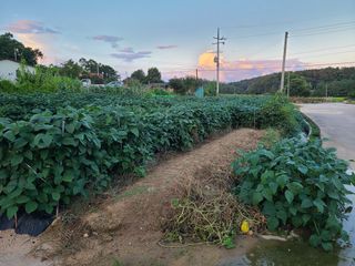 전홍열님의 우리동네 · 동네정보 작성글 사진