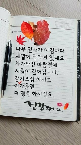 SOUL님의 자유주제 · 자유게시판 작성글 사진