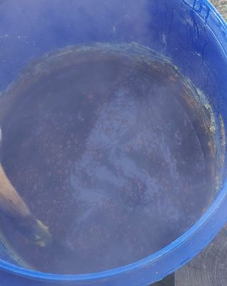 달맛햇복숭아농원님의 복숭아 · 자유게시판 작성글 사진