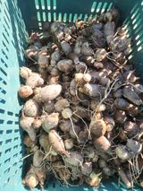 팜모닝 자유주제·자유게시판 게시글 이미지