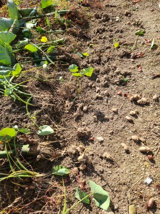 그린뉴딜님의 자유주제 · 자유게시판 작성글 사진