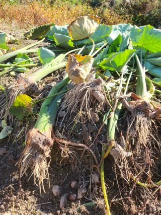 그린뉴딜님의 자유주제 · 자유게시판 작성글 사진