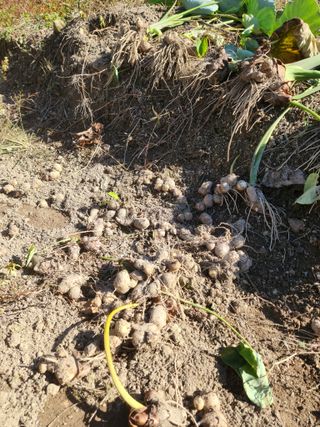 그린뉴딜님의 자유주제 · 자유게시판 작성글 사진