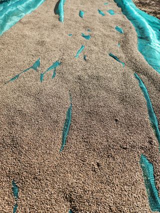 그린뉴딜님의 자유주제 · 자유게시판 작성글 사진