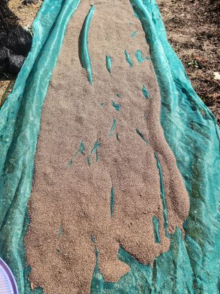 그린뉴딜님의 자유주제 · 자유게시판 작성글 사진