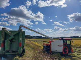 최재형님의 벼 · 영농일지 작성글 사진