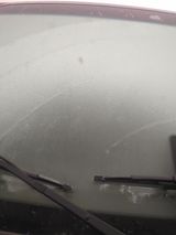 팜모닝 기타작물·자유게시판 게시글 이미지