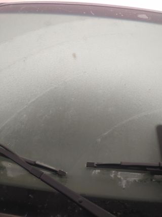 콩나라최여순님의 기타작물 · 자유게시판 작성글 사진