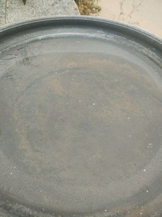 콩나라최여순님의 기타작물 · 자유게시판 작성글 사진