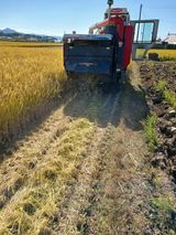 팜모닝 벼·영농일지 게시글 이미지