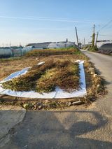 팜모닝 들깨·자유게시판 게시글 이미지