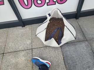 김희숙님의 들깨 · 자유게시판 작성글 사진