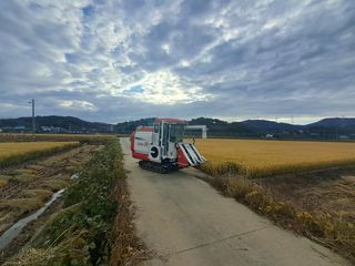 한량님의 벼 · 자유게시판 작성글 사진