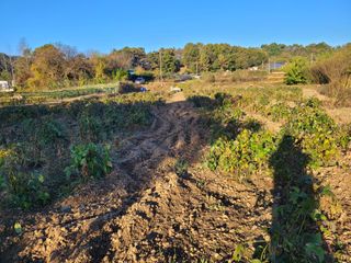 이남주님의 벼 · 영농일지 작성글 사진