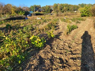 이남주님의 벼 · 영농일지 작성글 사진