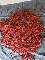 팜모닝 자유주제·자유게시판 게시글 이미지