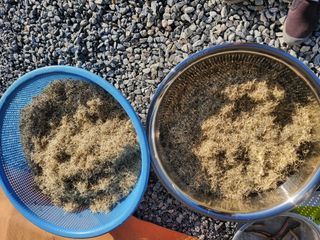 최남옥님의 자유주제 · 자유게시판 작성글 사진