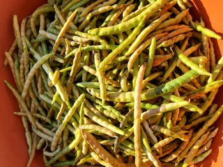 최남옥님의 자유주제 · 자유게시판 작성글 사진