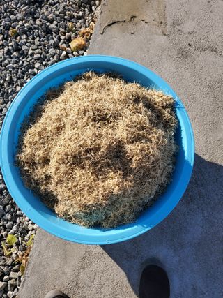 최남옥님의 자유주제 · 자유게시판 작성글 사진