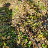 팜모닝 콩·영농일지 게시글 이미지