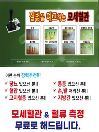 김관수회원님의 양배추 · 자유게시판 작성글 사진