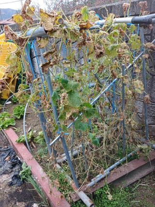 알 수 없음님의 우리동네 · 동네수다 작성글 사진