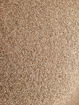 팜모닝 · 게시글 이미지