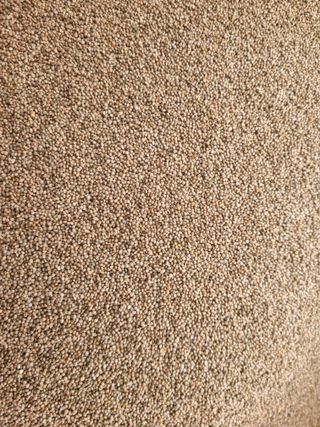 전재문님의 작성글 사진