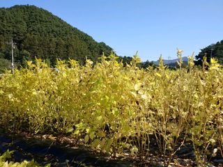 전재문님의 작성글 사진