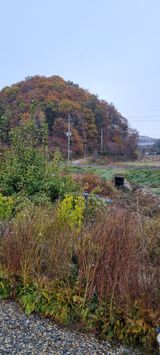 팜모닝 자유주제·자유게시판 게시글 이미지