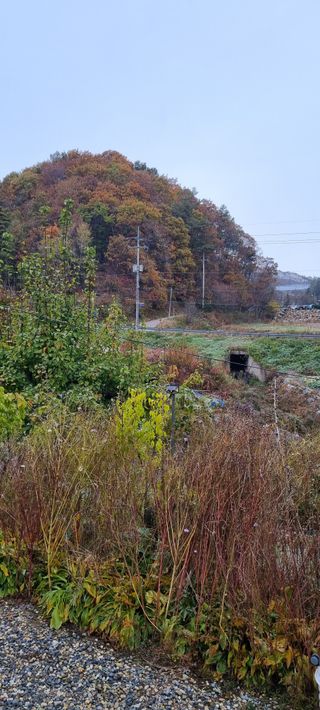 최영호님의 자유주제 · 자유게시판 작성글 사진