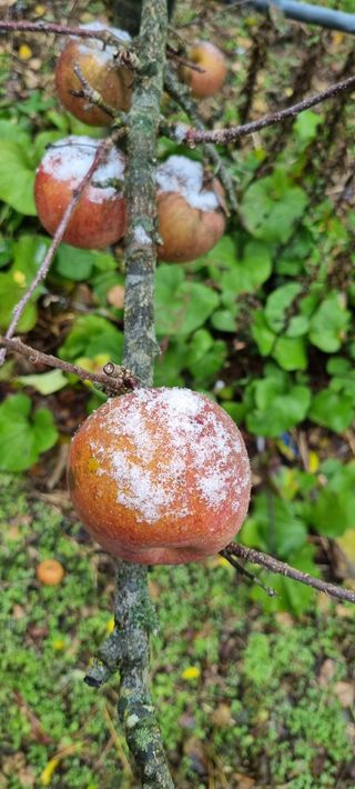 최영호님의 자유주제 · 자유게시판 작성글 사진