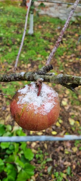 최영호님의 자유주제 · 자유게시판 작성글 사진