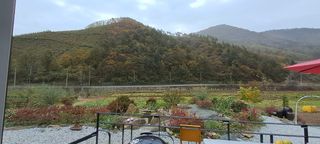 자연애 대풍농장님의 자유주제 · 자유게시판 작성글 사진