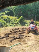 팜모닝 토마토·영농일지 게시글 이미지