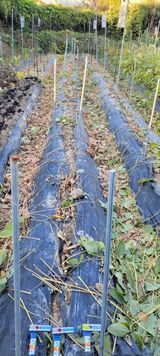 팜모닝 콩·자유게시판 게시글 이미지