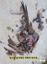 팜모닝 자유주제·자유게시판 게시글 이미지