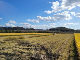 갑성이님의 벼 · 영농일지 작성글 사진