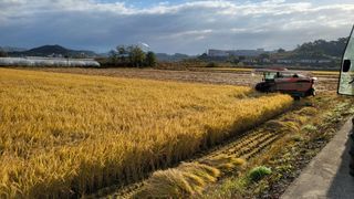 형설농원 정순정님의 자유주제 · 자유게시판 작성글 사진